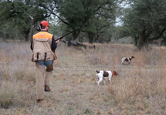 The Hunt